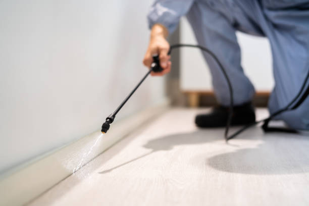Licensed Pest Control service in Madison, WV - Show Me Pest Control